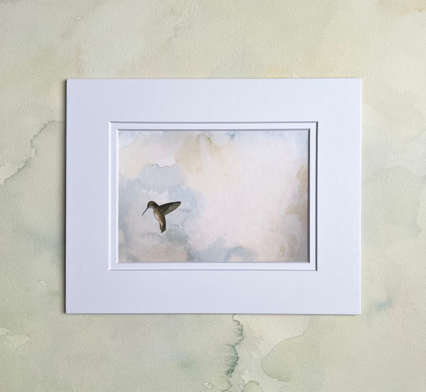 “Seeking” Hummingbird Art Print