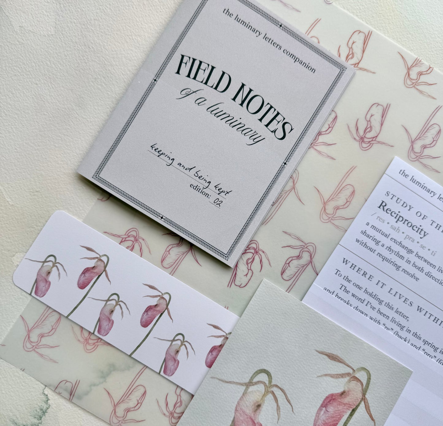 The Luminary Letters Edition 02