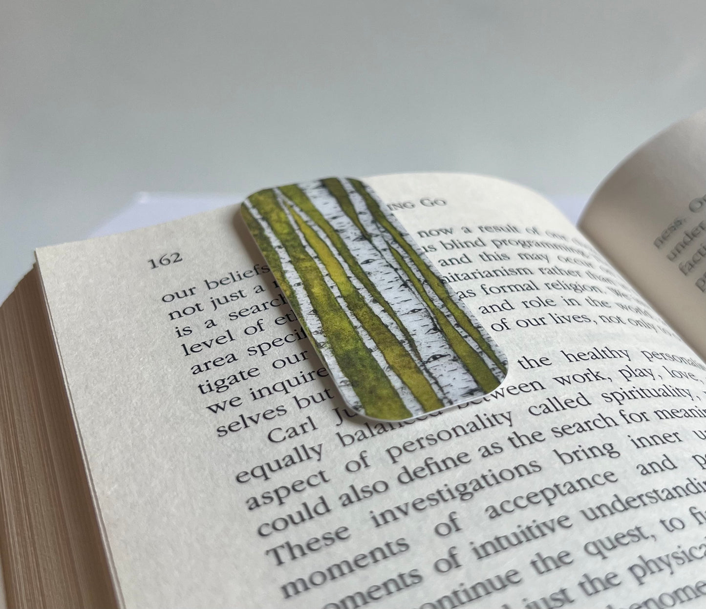 Birch Forest Magnetic Bookmark Set