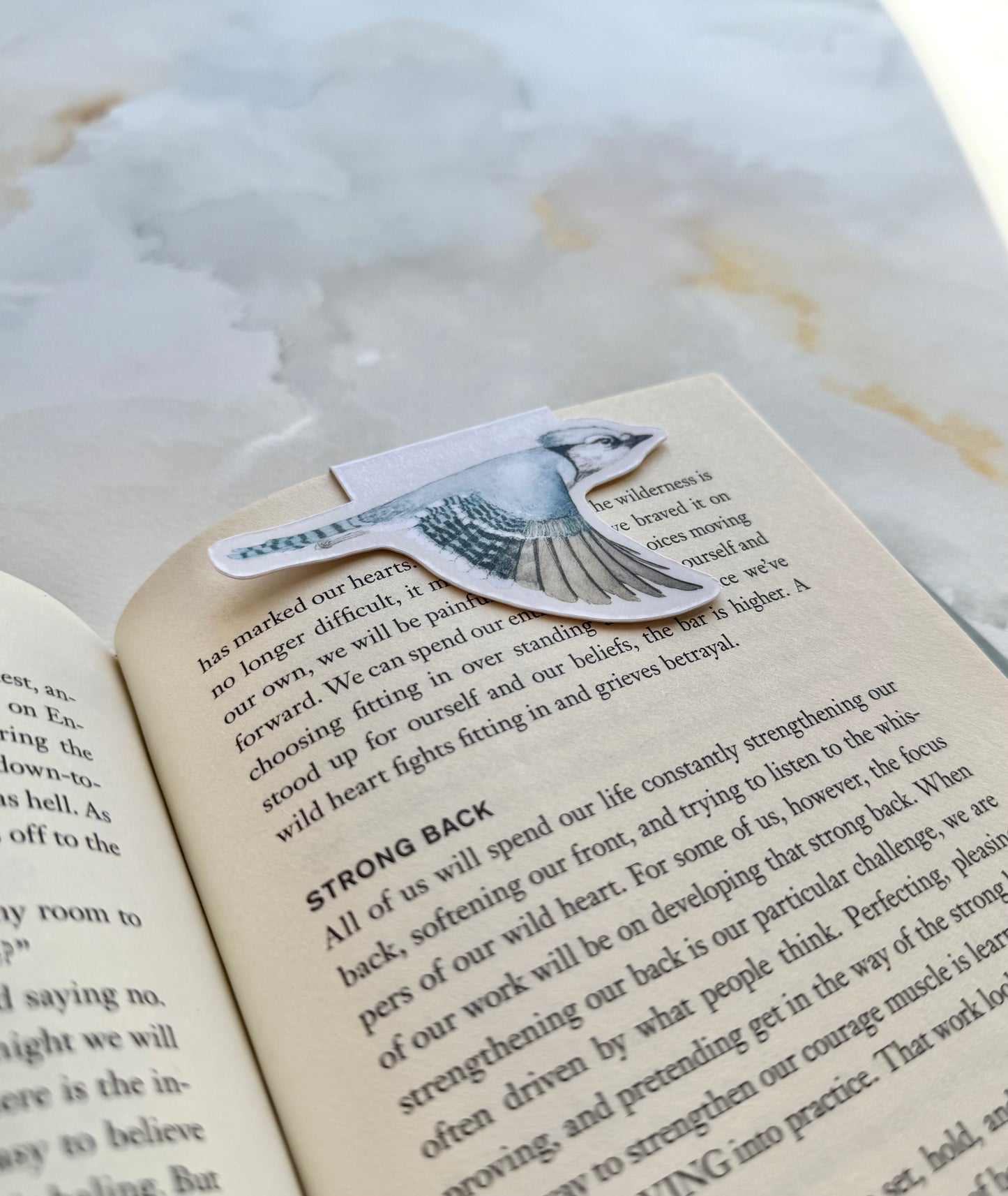 Blue Jay Magnetic Bookmark