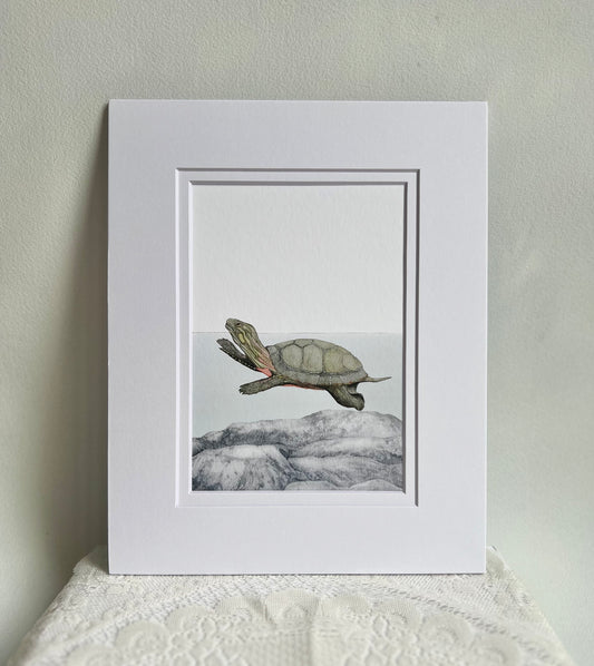 Turtle Art Print
