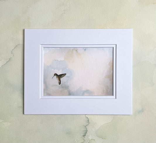 “Seeking” Hummingbird Art Print