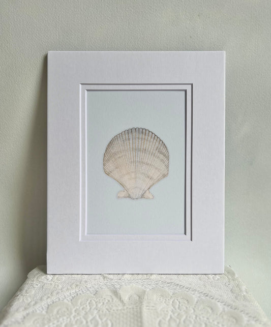 Seashell Art Print
