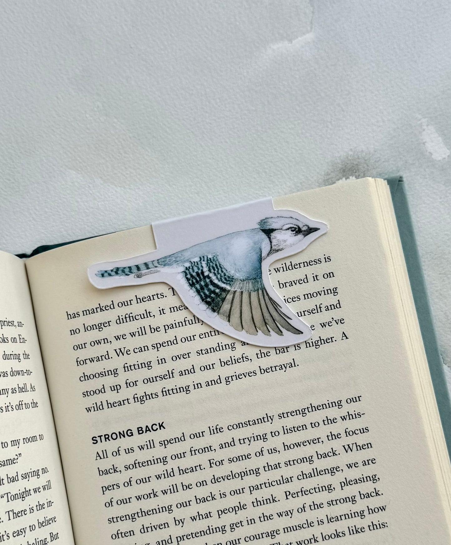 Blue Jay Magnetic Bookmark