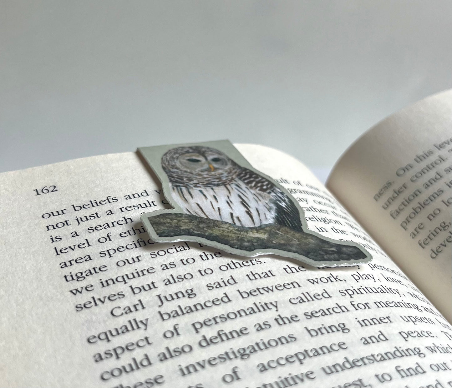 Barred Owl Magnetic Bookmark