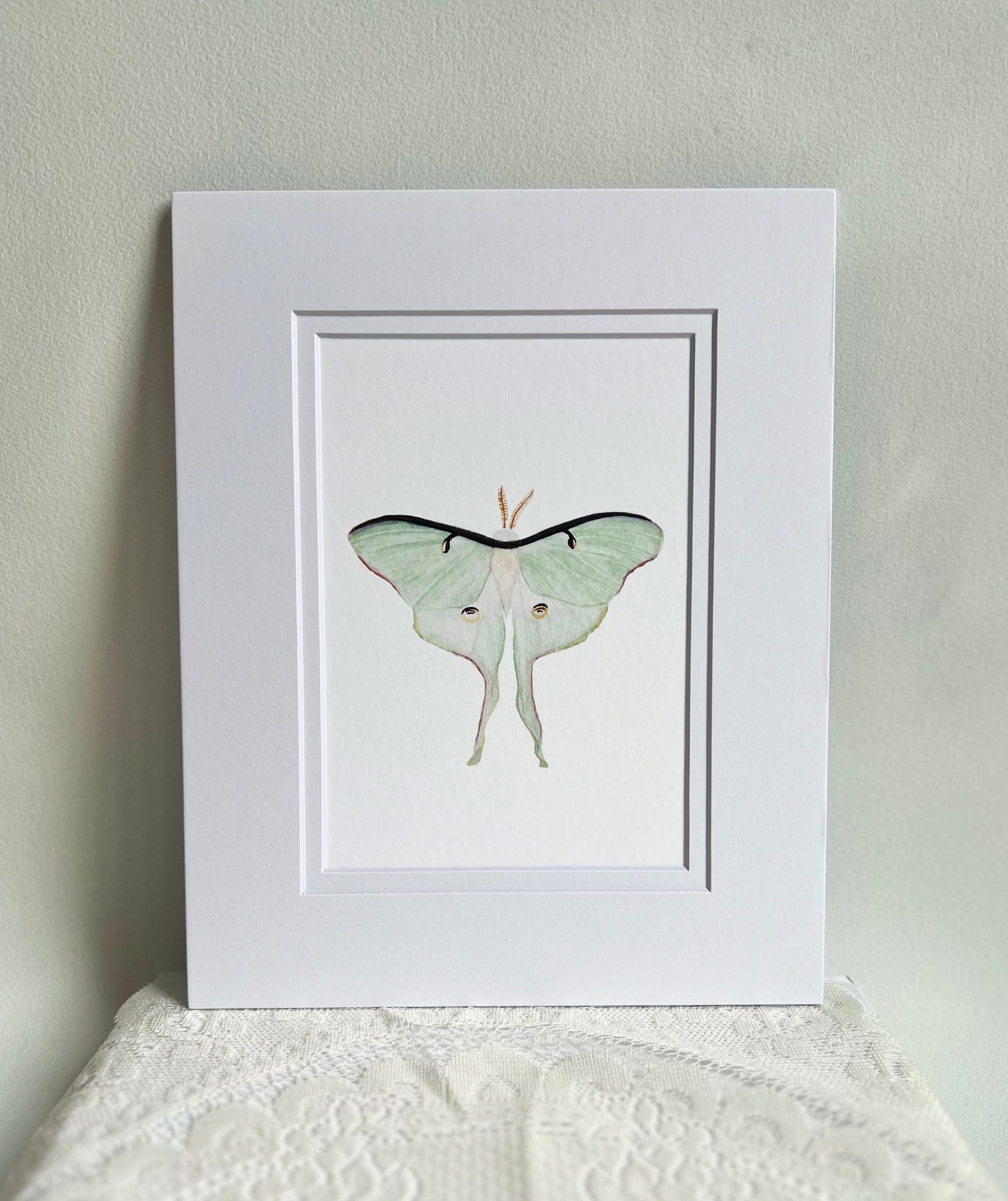 Luna Moth Art Print