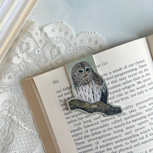 Barred Owl Magnetic Bookmark