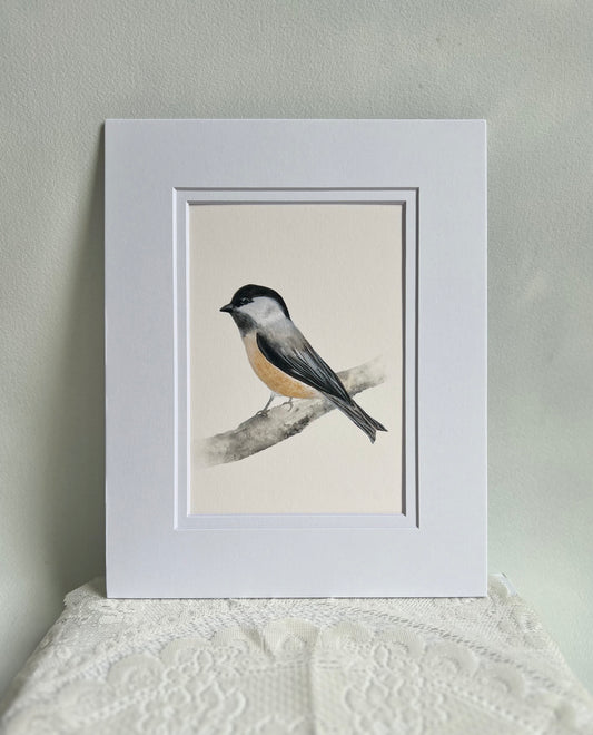 Chickadee Art Print